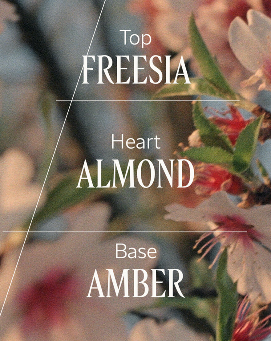 almond  amande  delightful hair   body mist