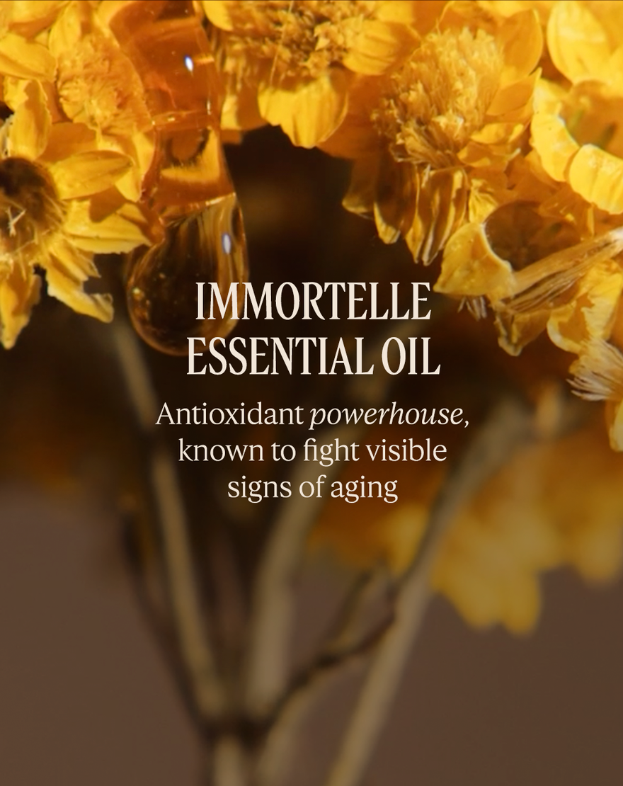 immortelle overnight reset serum  30ml