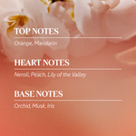 أساسيات نيرولي وأوركيد أساسيات نيرولي وأوركيد