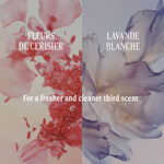 Lavande Blanche (White Lavender) Perfumed Body Lotion lavande blanche white lavender perfumed body lotion