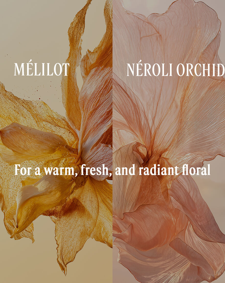 Mélilot Perfumed Body Lotion m lilot perfumed body lotion