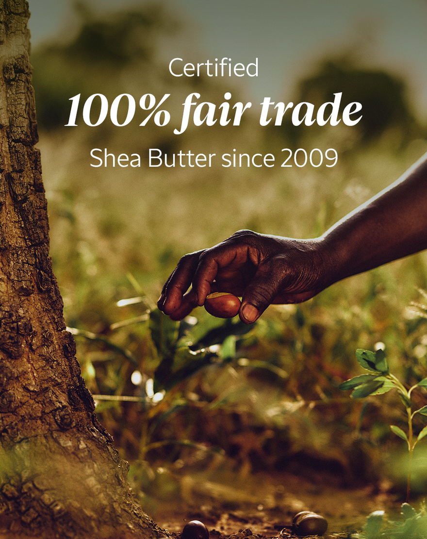 shea bi phase face serum