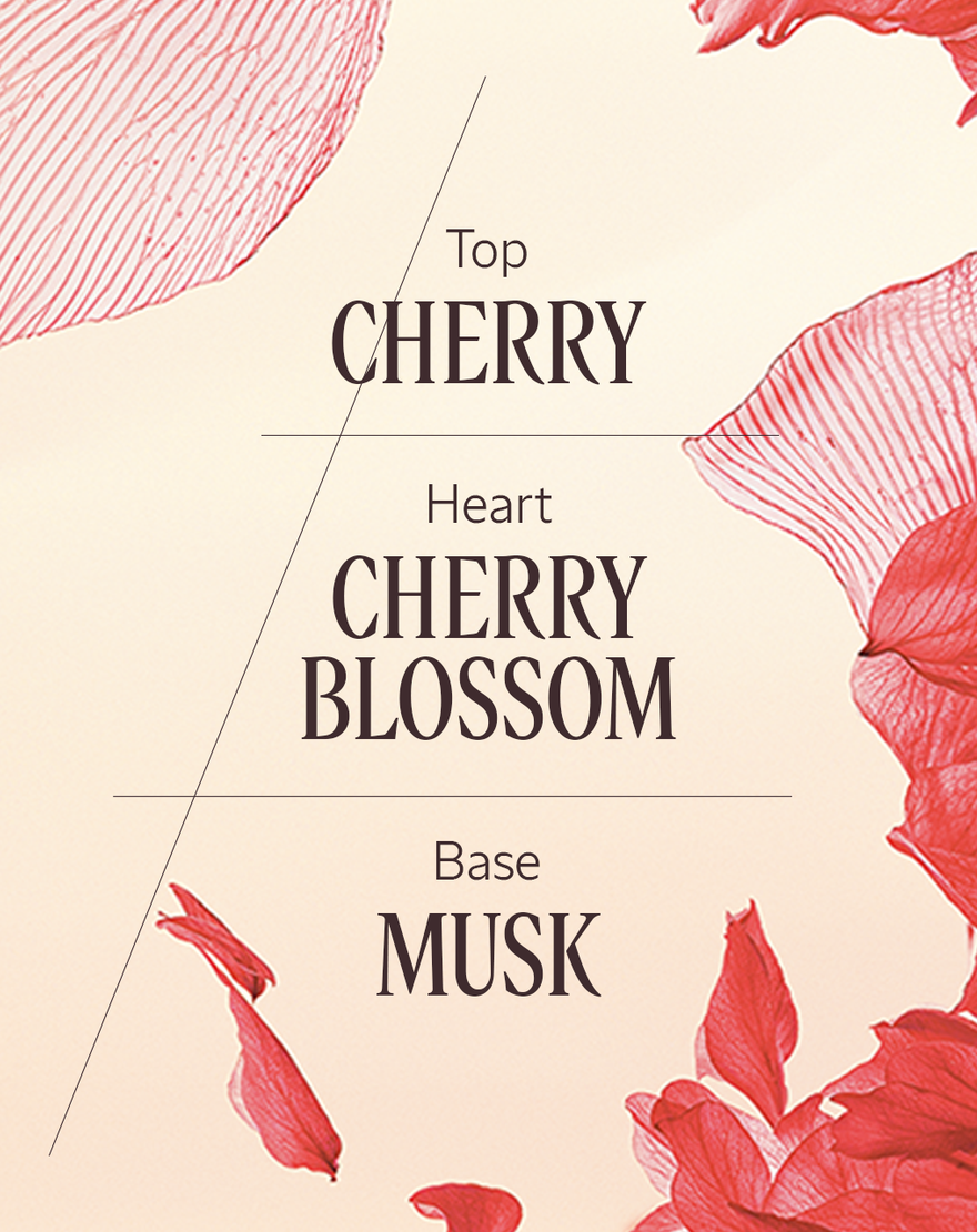 Fleurs De Cerisier (Cherry Blossom) Collection