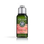 Aromachologie Intense Repairing Shampoo, 75ml Aromachologie Intense Repairing Shampoo, 75ml