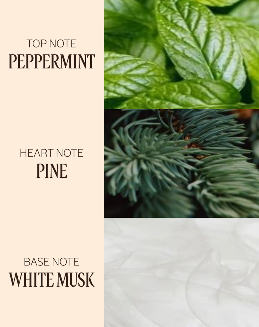 nuit en pin de whipped hand cream
