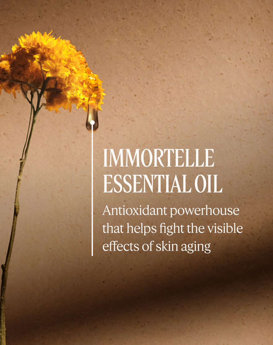 immortelle divine smoothing neck cream