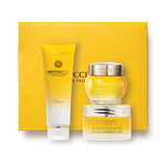 The Immortelle Divine Ritual the immortelle divine ritual