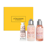 توزيعات زهرة الكرز توزيعات زهرة الكرز