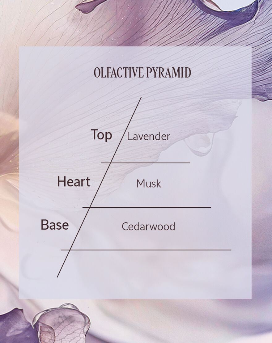 lavande blanche  white lavender  eau de toilette