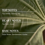 إعادة تعبئة لفيغييه أولونغ, 300ml إعادة تعبئة لفيغييه أولونغ 300ml