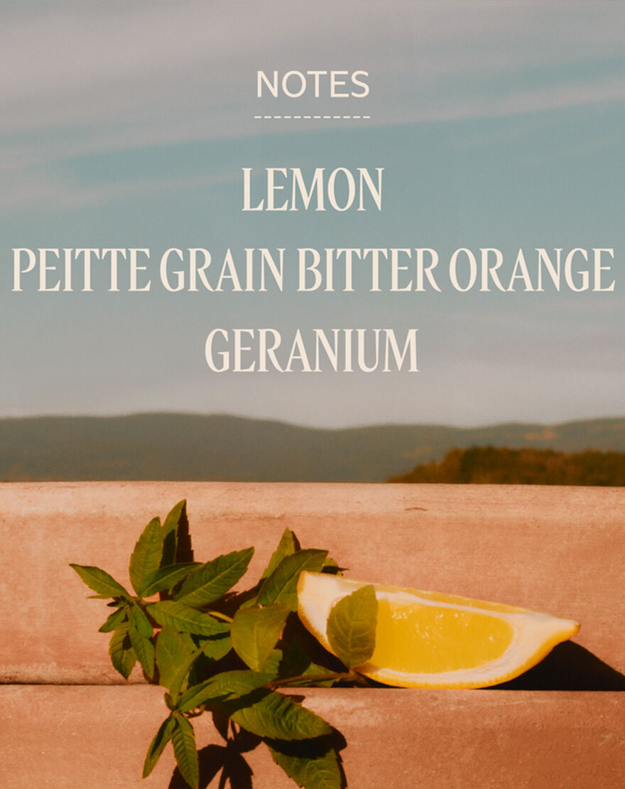 verbena eau de toilette