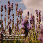 كريم اللافندر لليدين كريم اللافندر لليدين