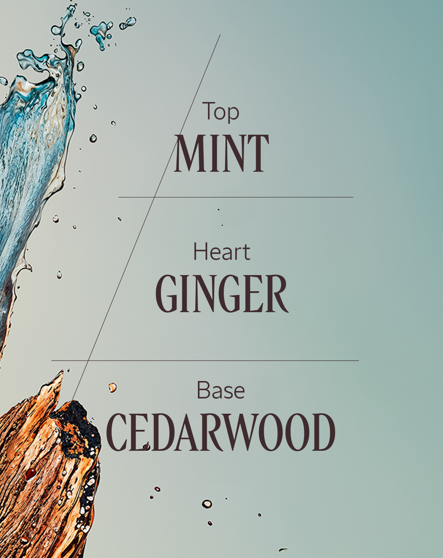 Cèdre Gingembre (Cap Cedrat) Eau De Toilette Cèdre Gingembre (Cap Cedrat) Eau De Toilette