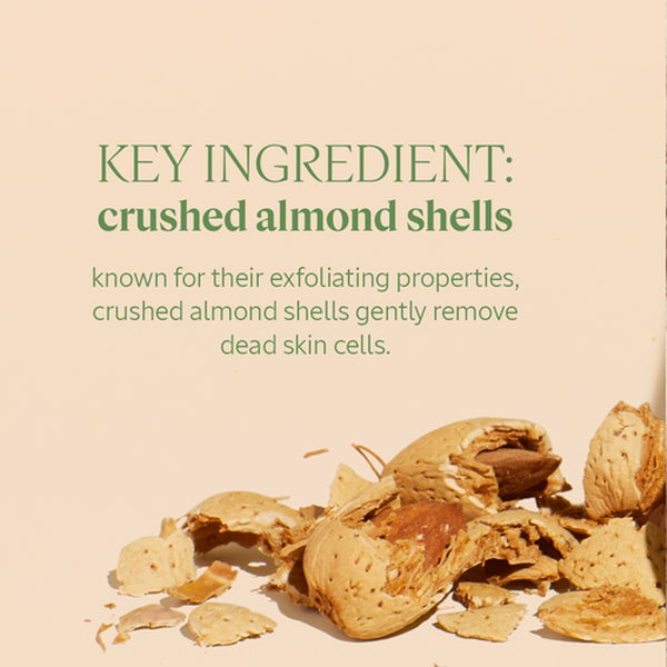 Almond Shower Scrub Almond Shower Scrub