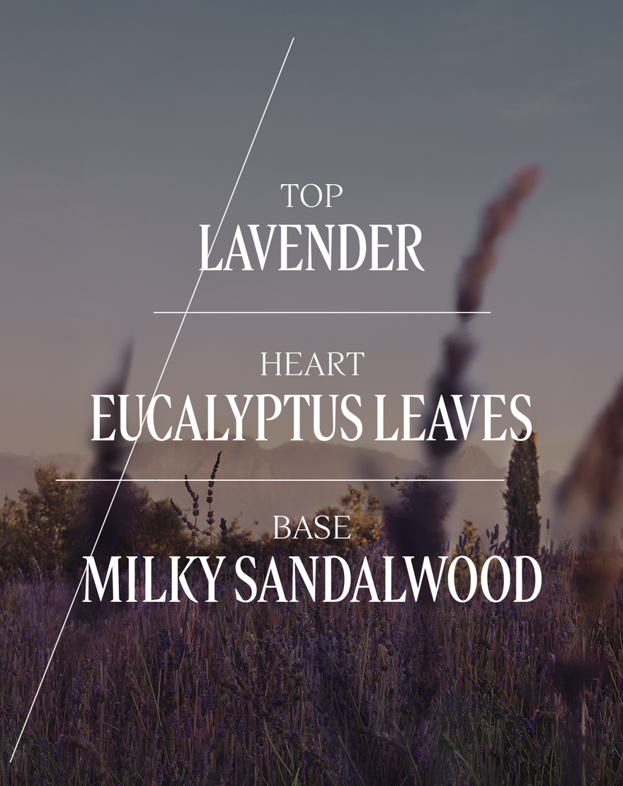 lavande  lavender  eau de toilette