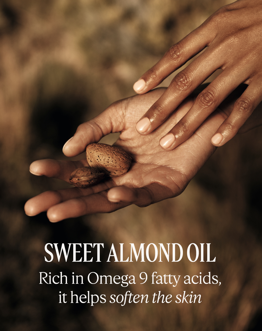 Luxury Almond Body Care Collection Luxury Almond Body Care Collection