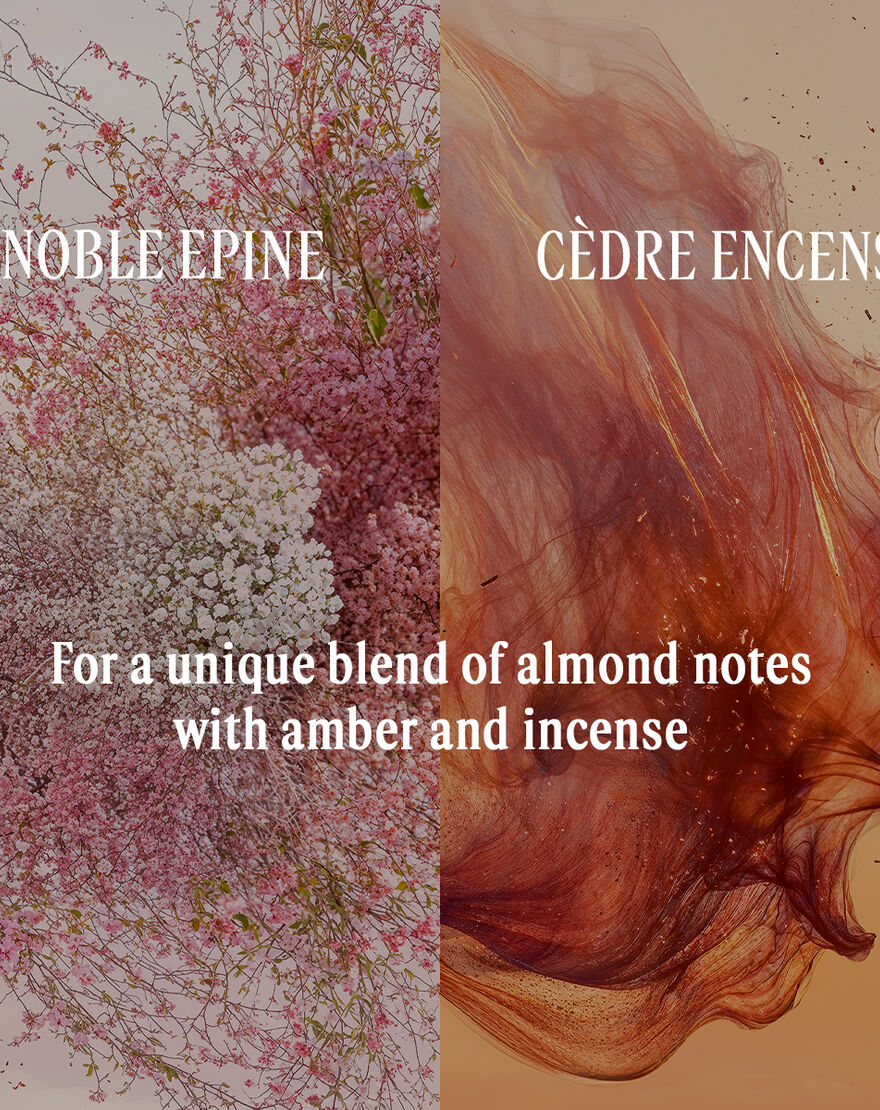 noble  pine eau de parfum