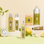 لوشن الجسم بالفربينا لوشن الجسم بالفربينا