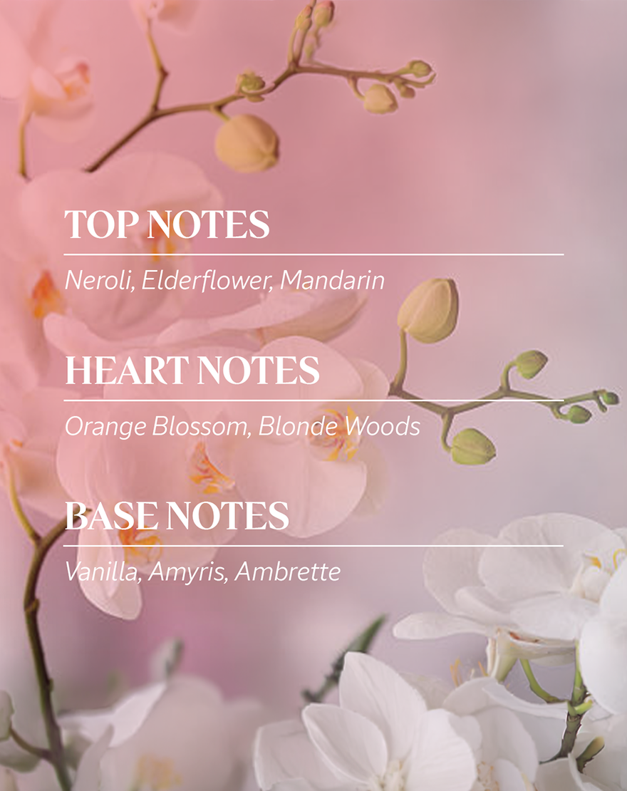 N&eacute;roli & Orchid&eacute;e Eau Harmonieuse Body Lotion