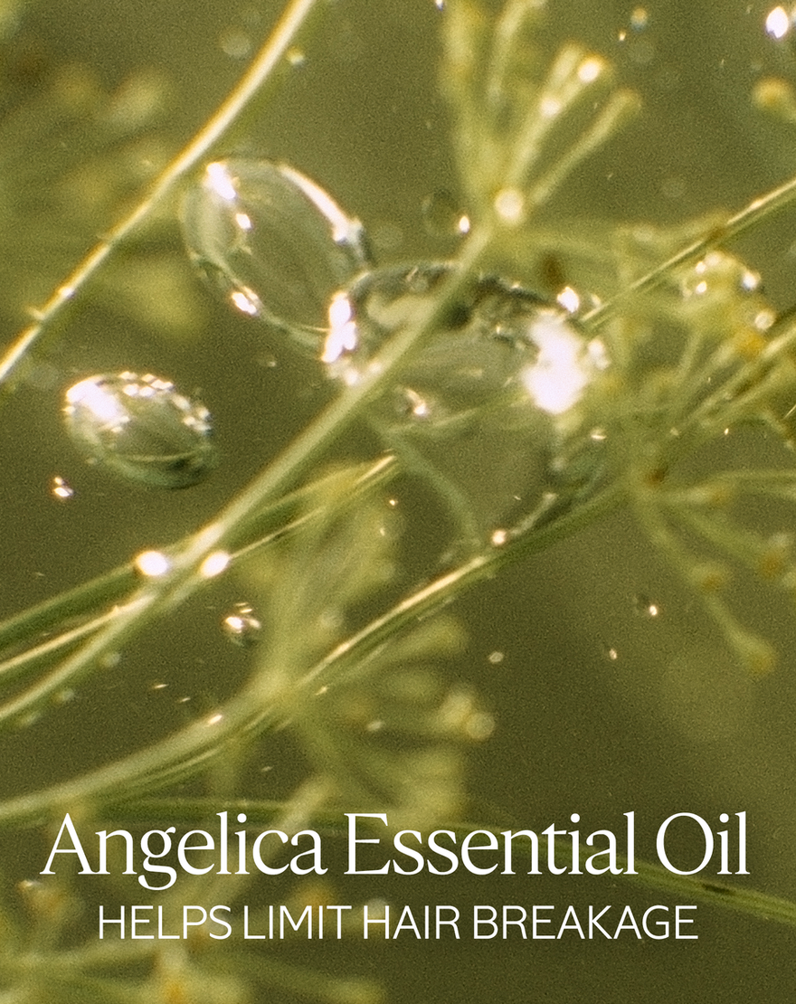 intensive repair sublimating oil
