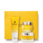 The Immortelle Divine Ritual the immortelle divine ritual
