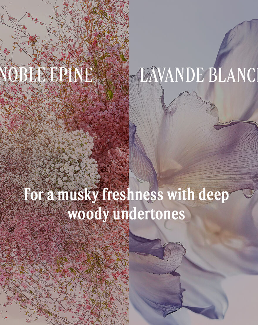 noble  pine eau de parfum