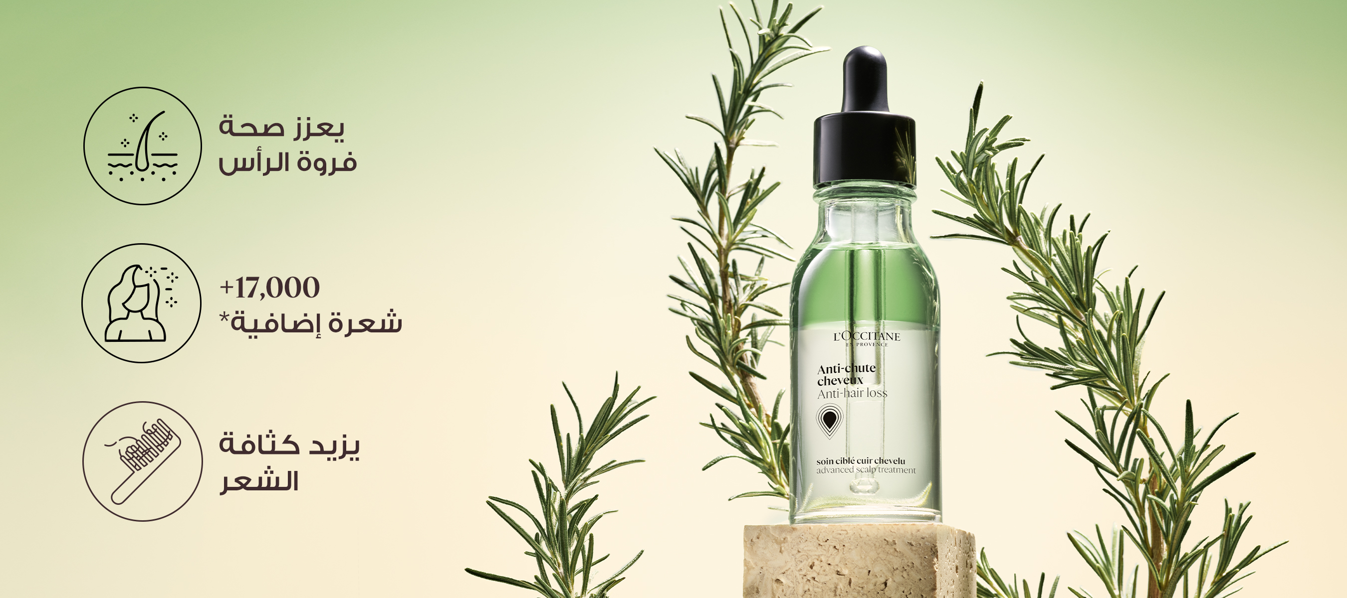 Anti-Hair Loss Serum