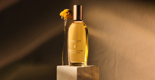 新品未使用　ロクシタンTerre de Lumiere L'eau 50ml L´Occitane TERRE DE LUMIERE L'EAU 50ML : Amazon.ae: Beauty