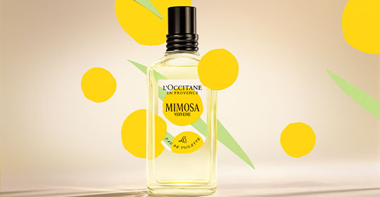 Mimosa Verveine